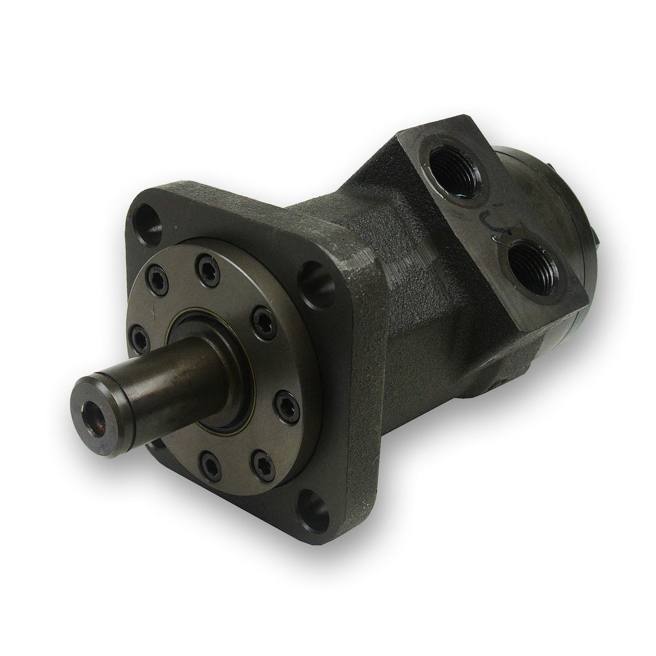 Gerotor Motor